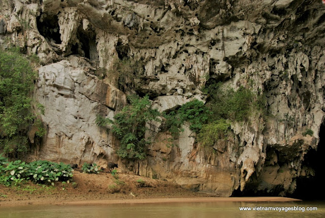 Découvrir les mystérieux de la cave Puong, Lac de Ba Be - Photo An Bui Découvrir les mystérieux de la cave Puong, Lac de Ba Be - Photo An Bui