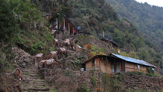pueblo-nepal