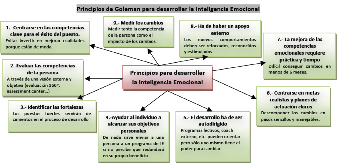 Psicología de las Organizaciones: Principios de Goleman para