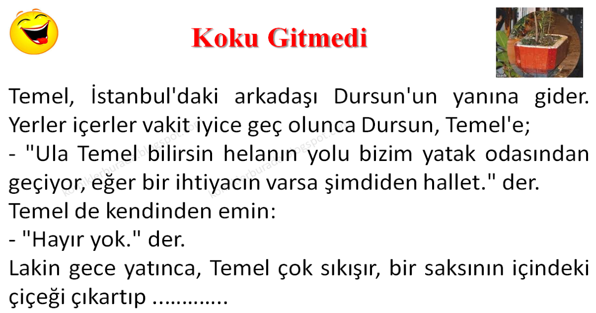 Koku Gitmedi Komikler Burada