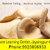 Mushroom Training Centre in maharashtra, pune,mumbai,kolhapur