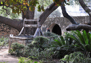 Alamo Well original well of the Alamo under a tree