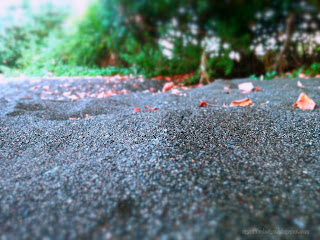 Beach Sand Of The Rural Beach Ecology At Umeanyar Village, Seririt, North Bali, Indonesia