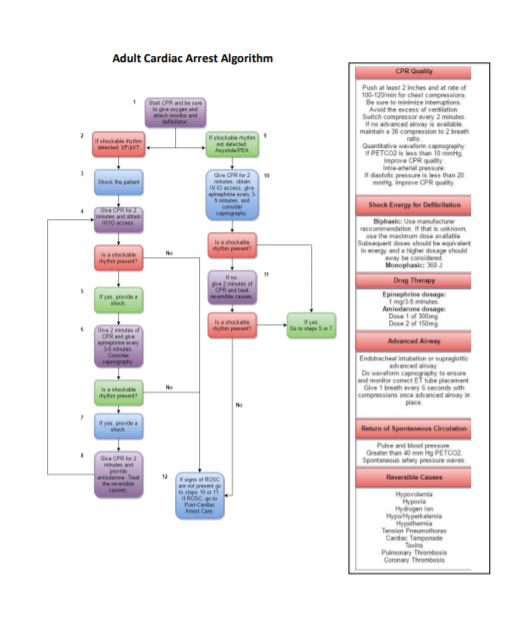 ACLS Study Materials - Adult Cardiac Arrest Algorithm