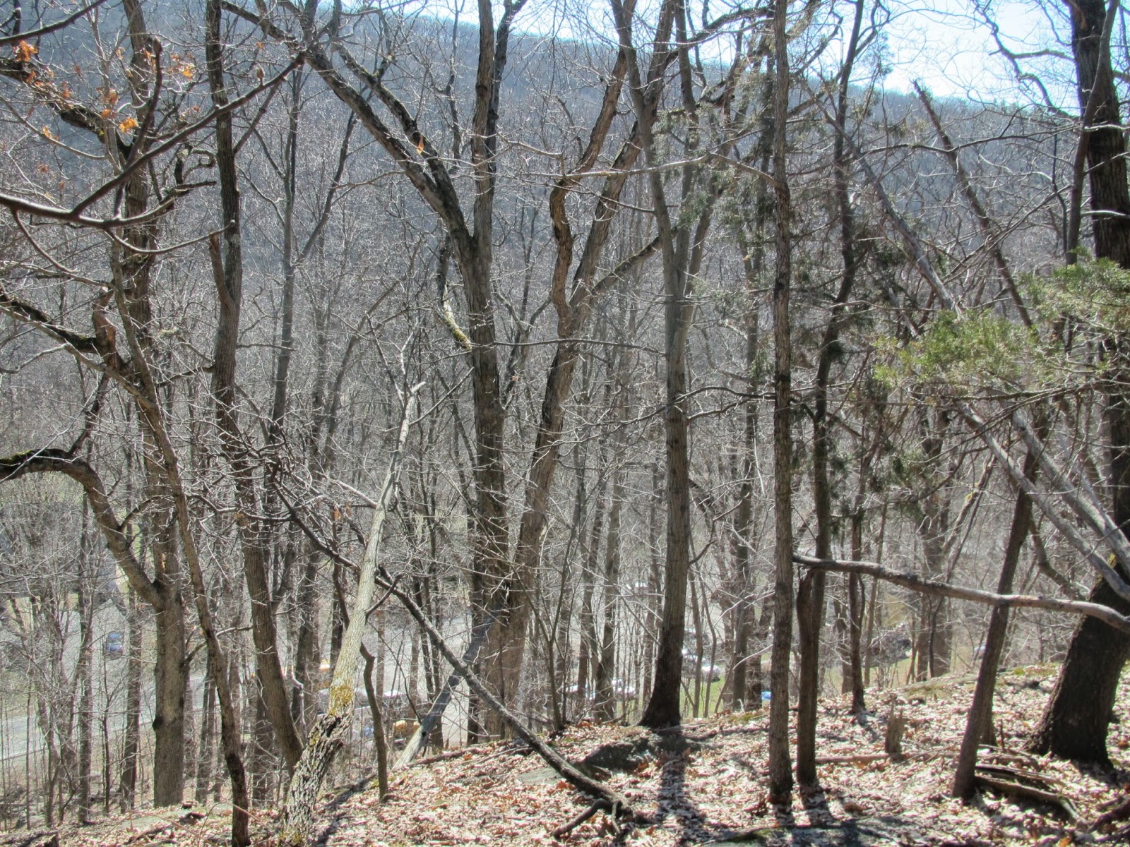 Joel Campbell (17351828) His Life and Times A Visit to Continental