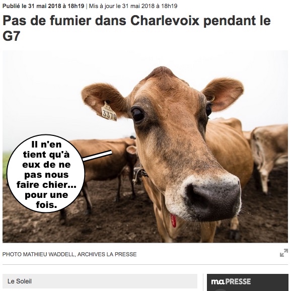 Merde Alors Merde Alors