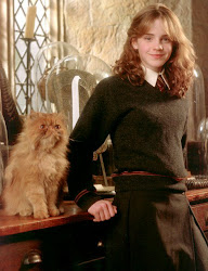 hermione granger potter harry watson emma crookshanks azkaban prisoner draco malfoy cat characters chamber fantasia fandom animated