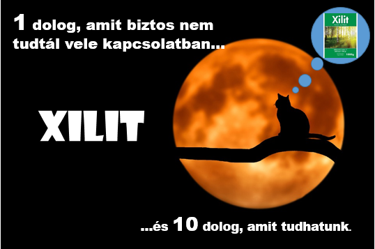 10 dolog  amit biztosan tudhatunk a xilitről, és 1 amit nem biztos…