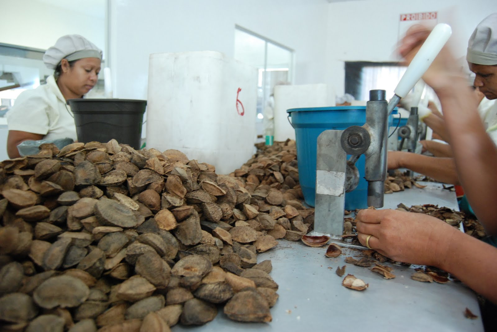 Wildlife, History and Adventure In the Amazon A brief visit to a