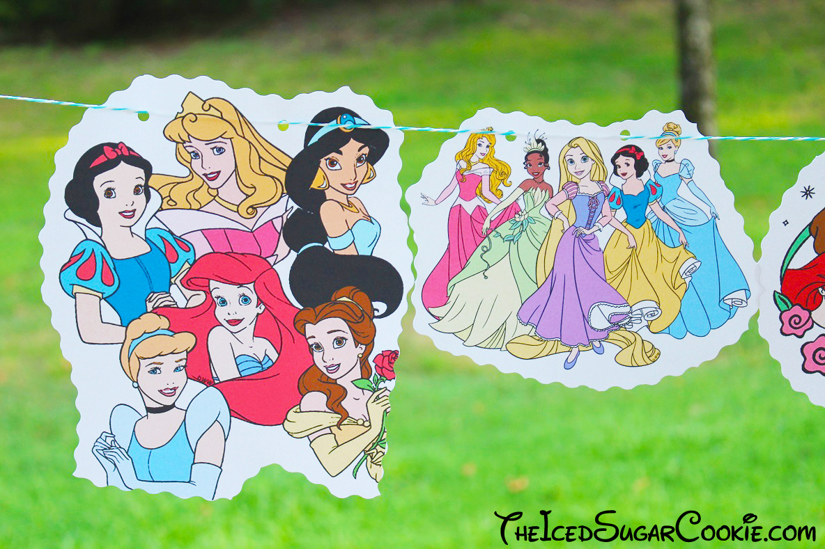 Disney Princess Cinderella Belle Snow White Ariel Birthday Banner Bunting