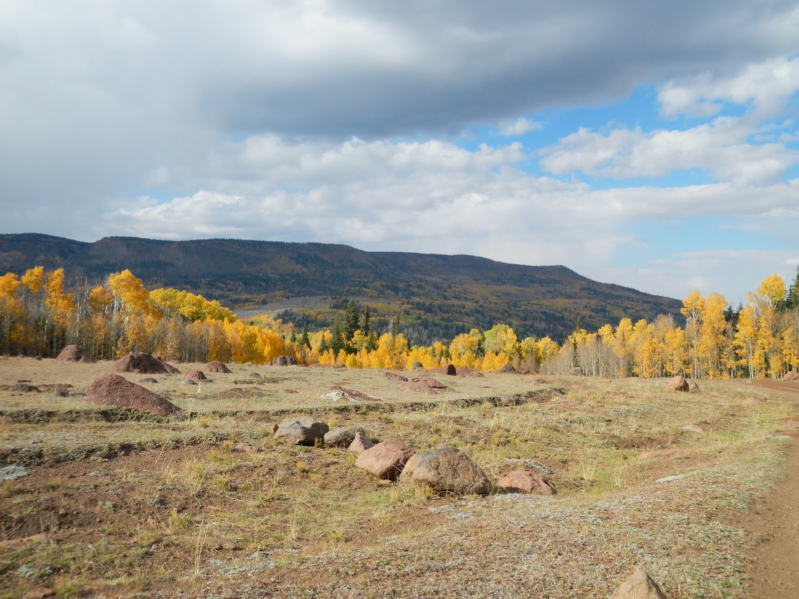 Utah Water Log Boulder Mountain Fall 2012