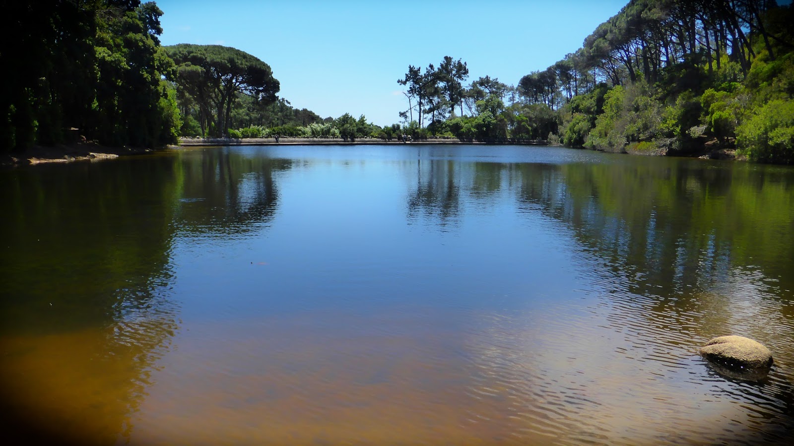 A picture a day Blue Lake