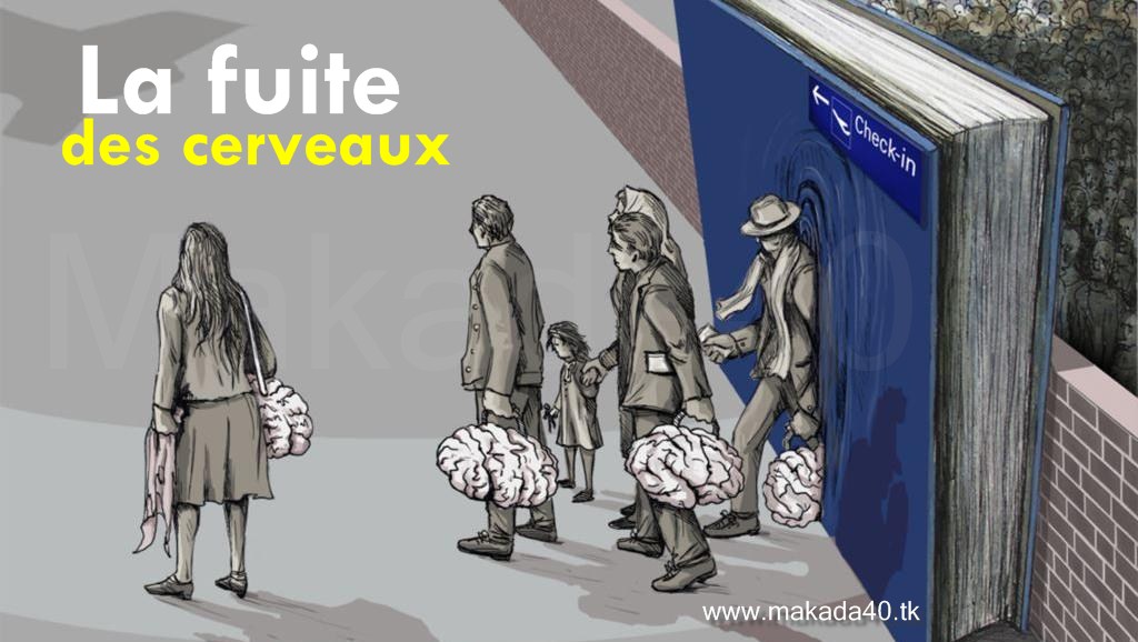 Fuite des cerveaux «Brain Drain» Makada40