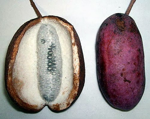 Похожее изображение