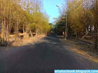 Hutan Bambu Surabaya taman bambu keputih surabaya