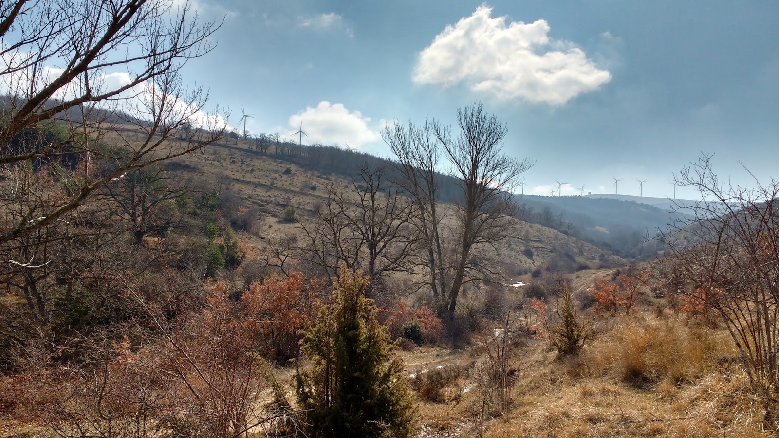 San Andrés de San Pedro (II). Educación, arquitectura y paisaje. OTRA