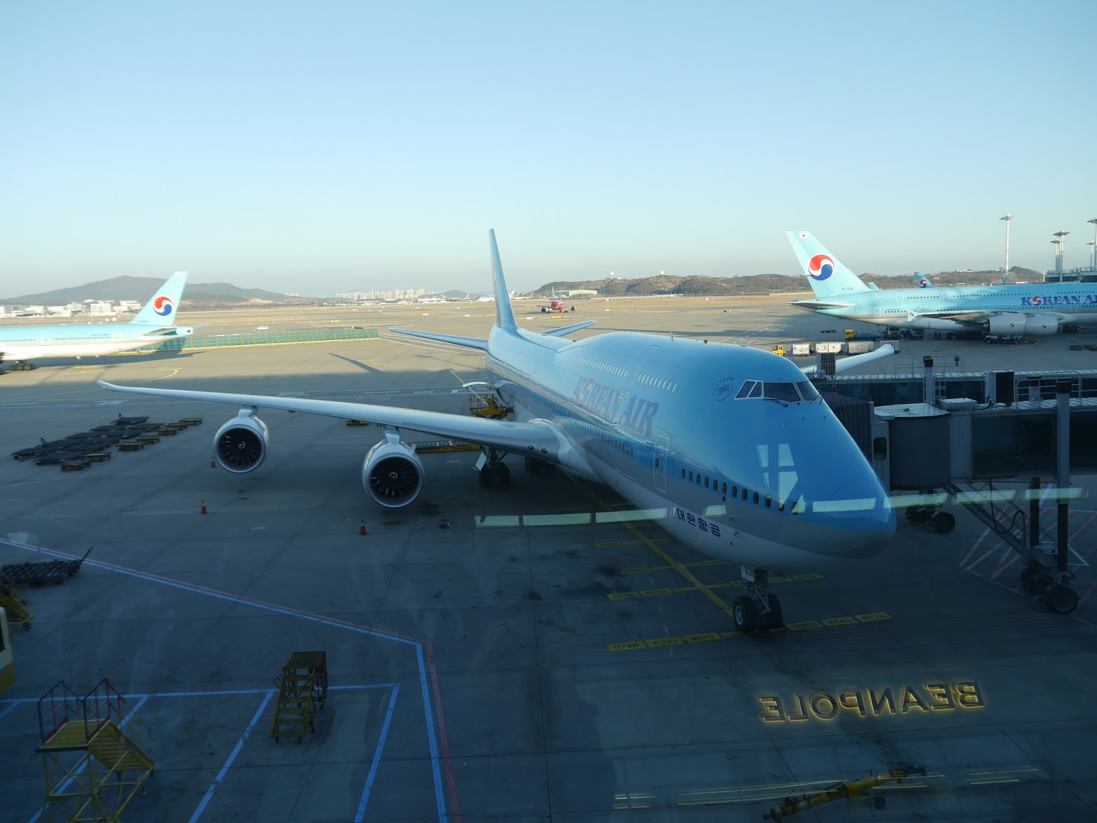 Träume nicht dein Leben, sondern lebe deinen Traum!: Flug von Seoul nach Auckland