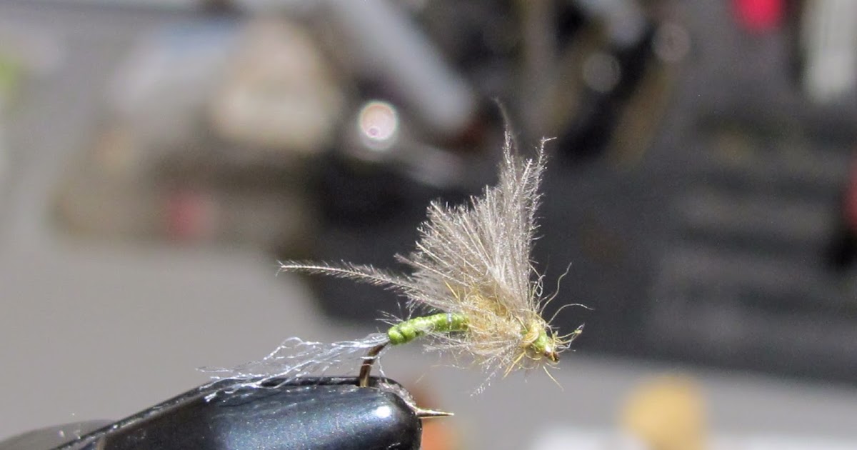 to the Millers River Fly Fishing Forum Different Dry Fly