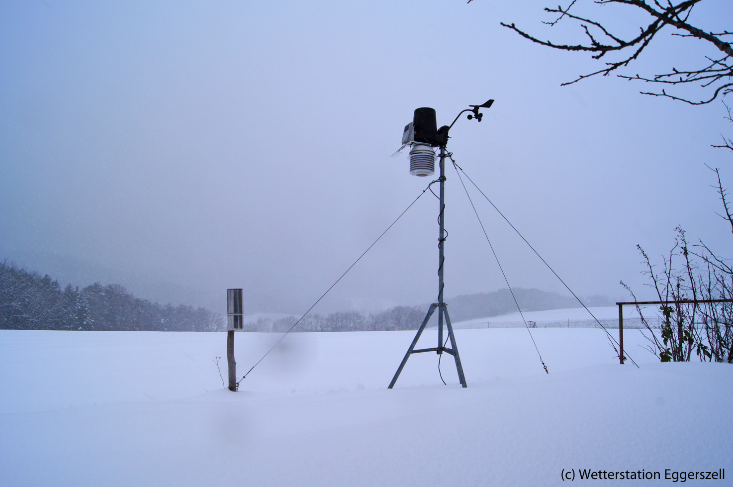Unser Besuch Im Wild Und Freizeitpark Im Westerwald Mit