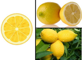 limon, limonun faydaları, limon kabuğunun yararları, limon resmi, limon fotoğrafı