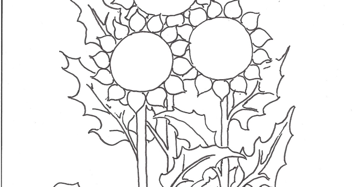 Coloring Pages for Kids by Mr. Adron: Three Sunflowers Coloring Page free.