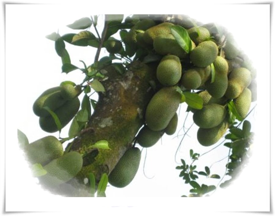 Contoh Soalan Uji Minda - Malacca s