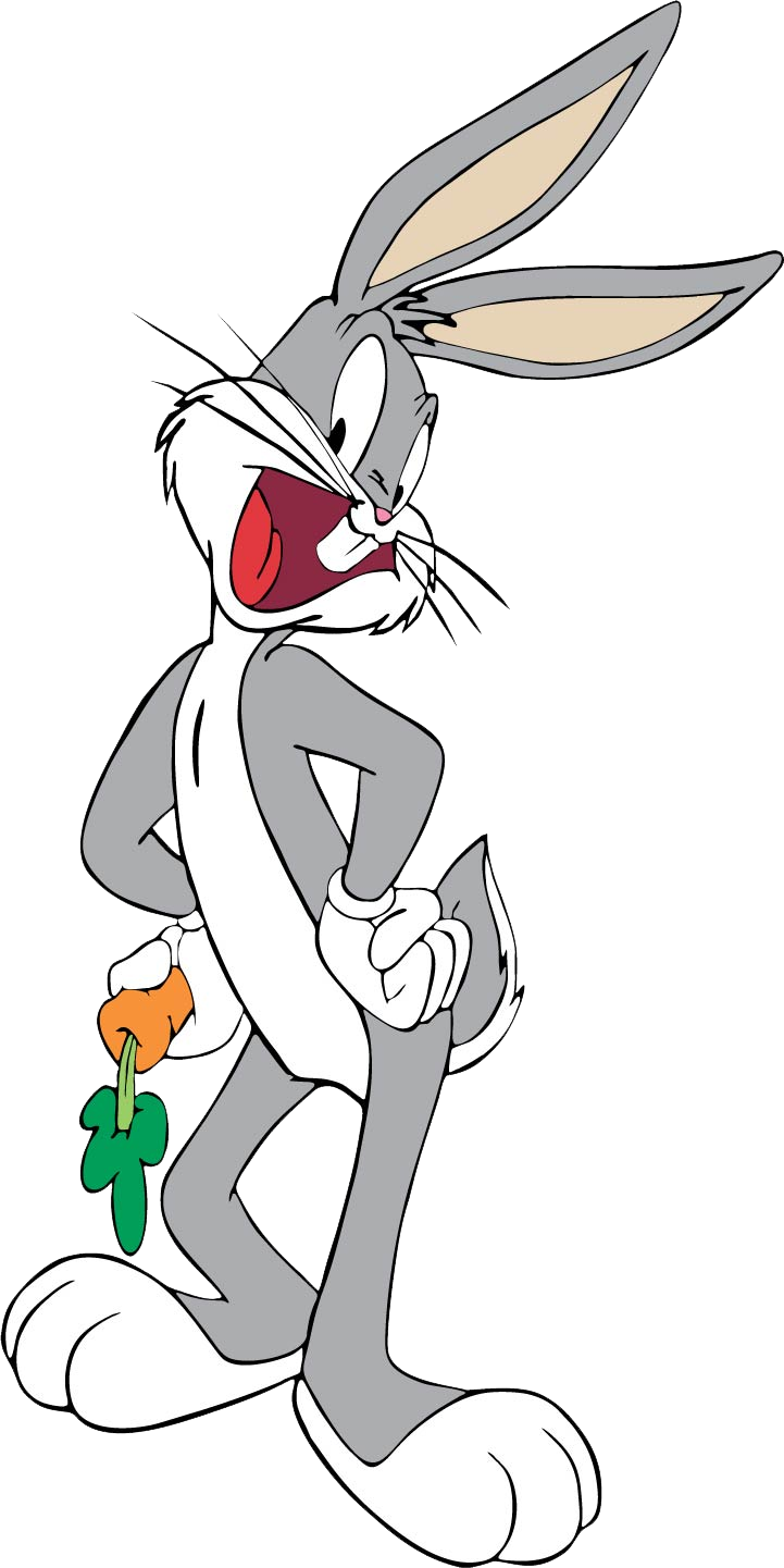 LOONEY TUNES Animatoons