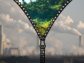 environmental pollution in hindi essay | प्रदूषण पर हिन्दी में निबंध environmental pollution in hindi essay | प्रदूषण पर हिन्दी में निबंध