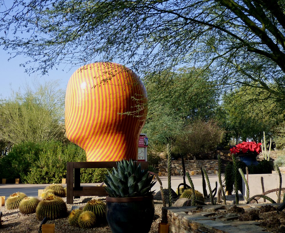 Kittling Books December at the Desert Botanical Garden