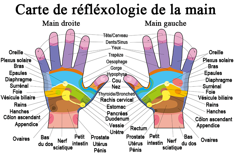 reflexologie-palmaire