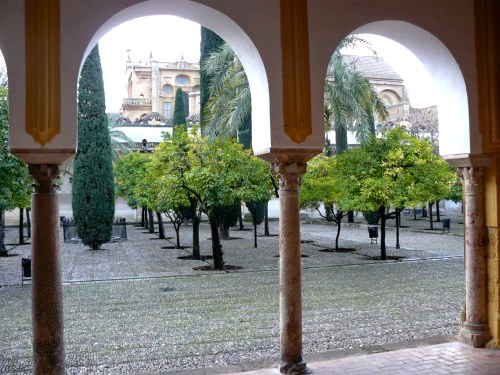 Patio de los naranjos de Córdoba