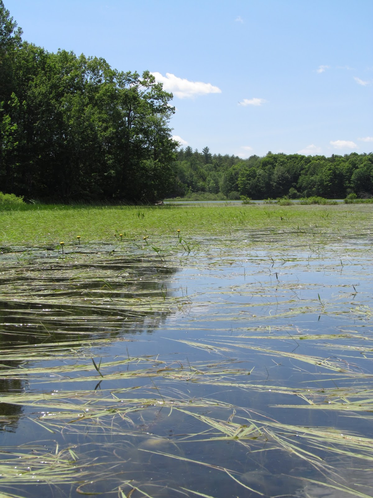 Recreational Kayaking in Maine Upper Pleasant Pond, Richmond, Maine