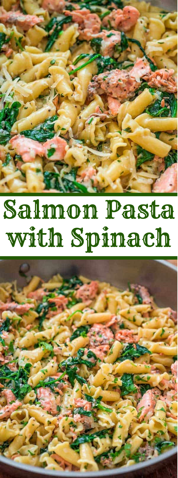SALMON PASTA WITH SPINACH #dinner #fish SALMON PASTA WITH SPINACH #dinner #fish