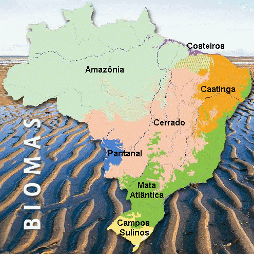 Biologia: Biomas Brasileiros.