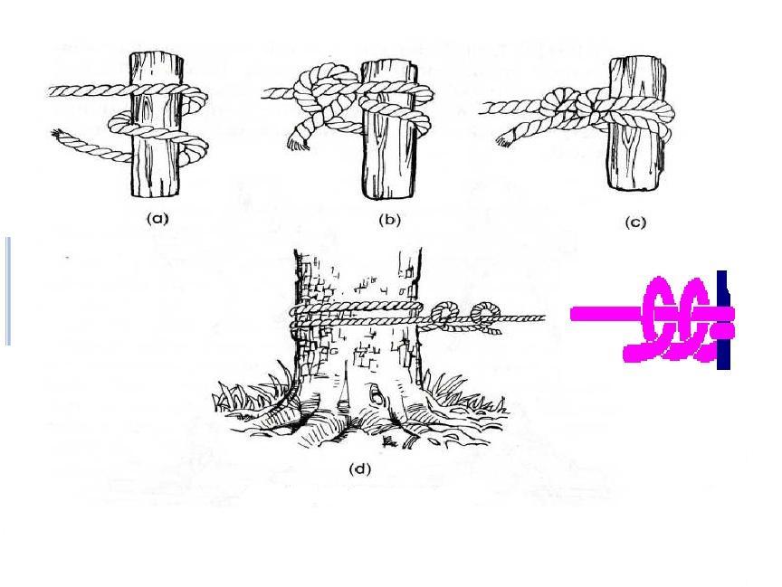 JPAM SIK: IKATAN DAN SIMPULAN ASAS