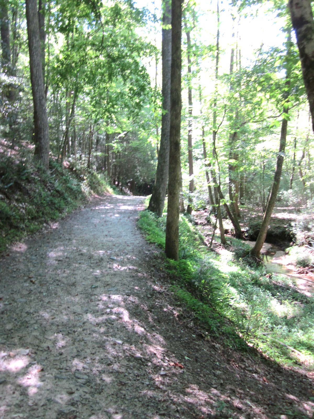 Travel NC With Kids Stone Mountain Loop Trail at Stone Mountain State Park in NC