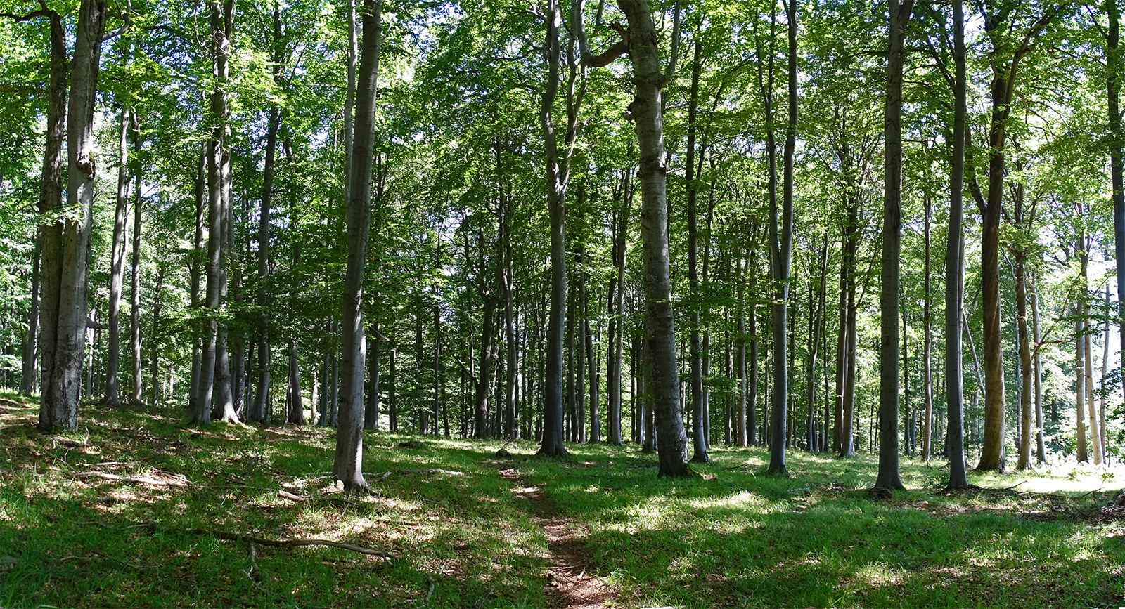 Пътешествията продължават... Връх и хижа Братия, с. Панагюрски колонии