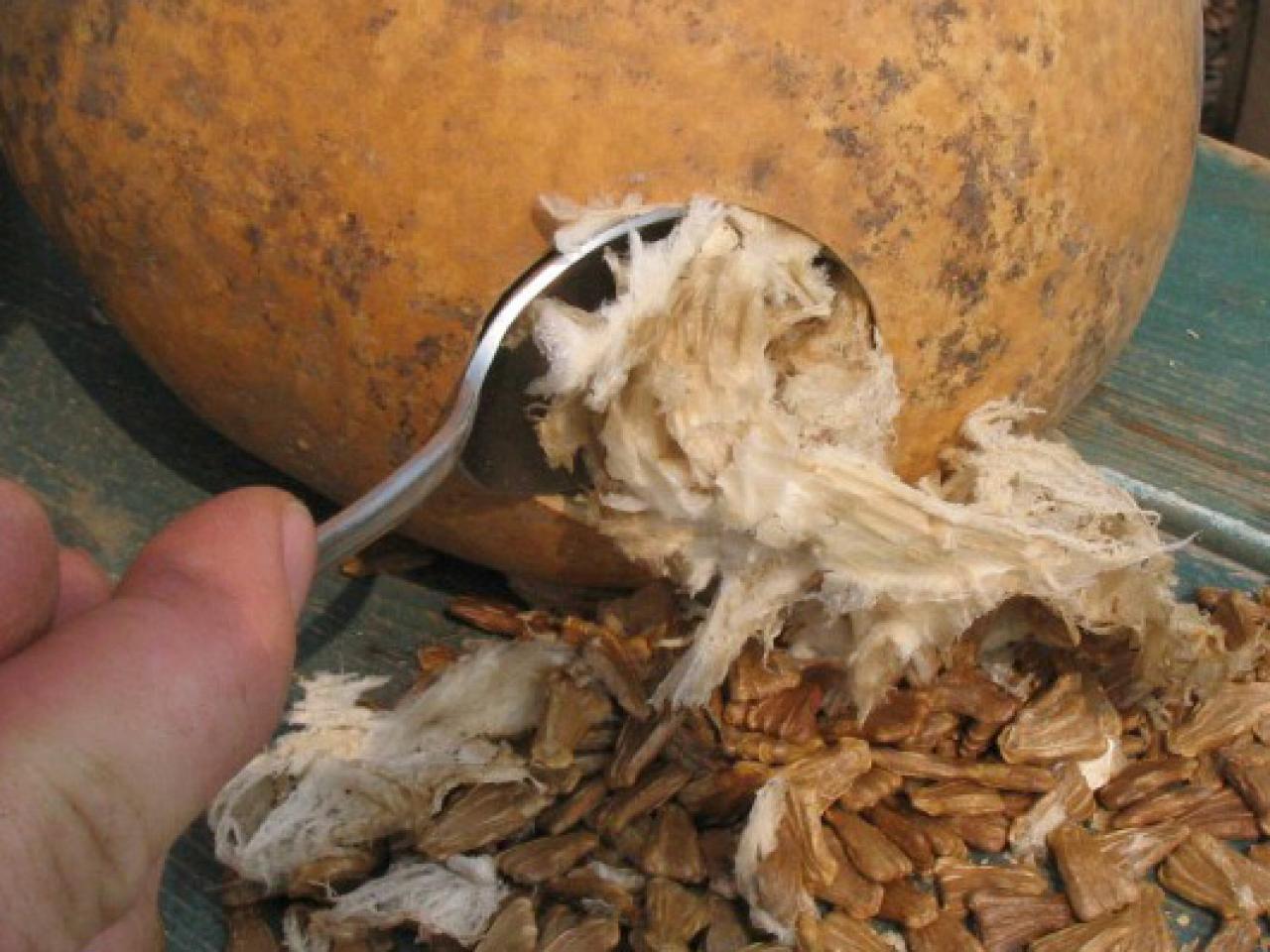 Bird In Everything Gourd Bird Feeders