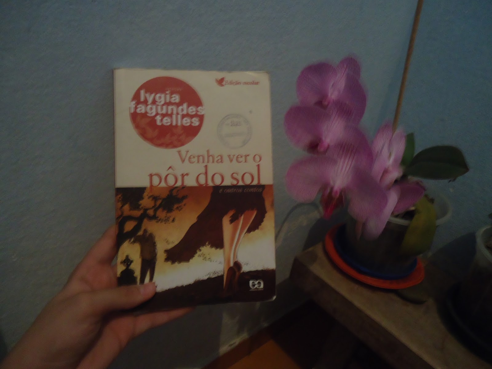 The Librarian Mês Do Horror Venha