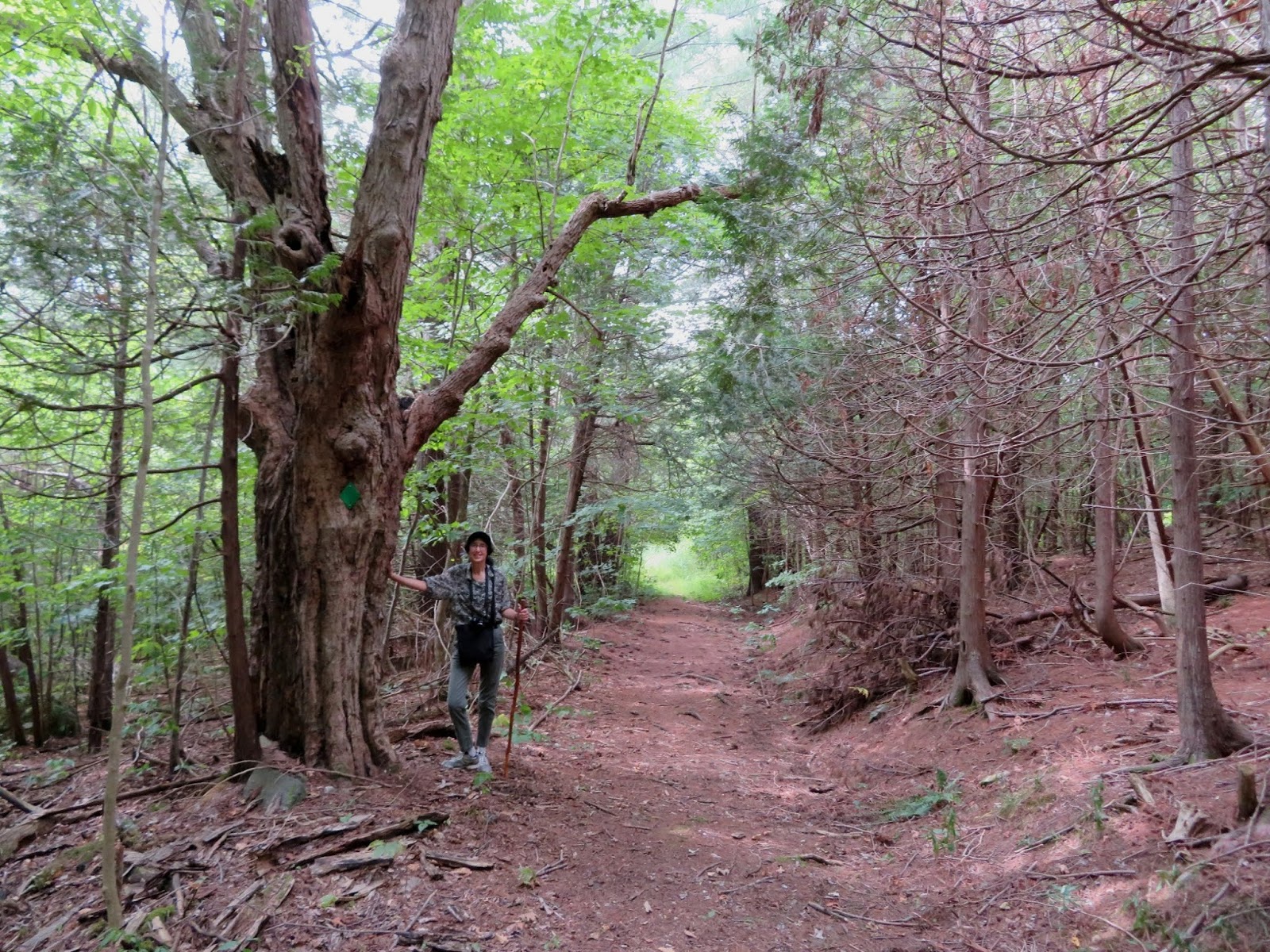 Singer Castle Blog & More Hiking Grand Lake Reserve
