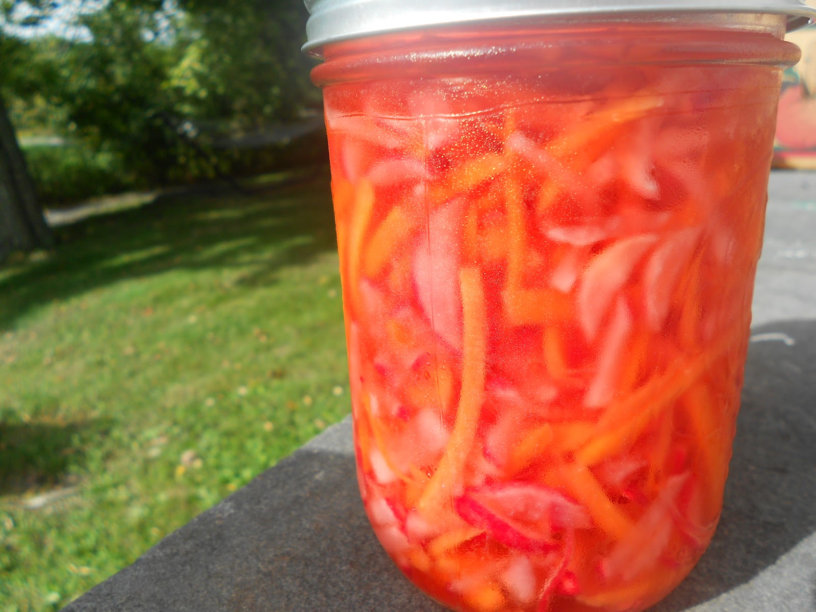 Silly Goose Farm Banh MiStyle Pickles