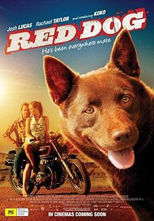 Chú Chó Đỏ - Red Dog Chú Chó Đỏ