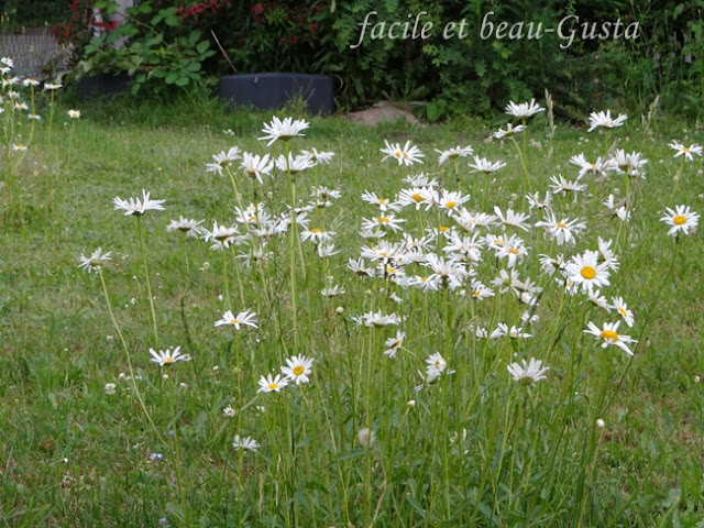 facile et beau - Gusta: Garten Allerlei im Juni