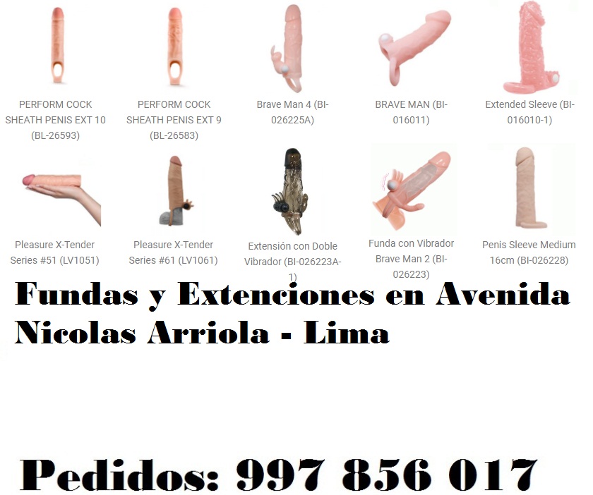 en Avenida Nicolas Arriola - Lima