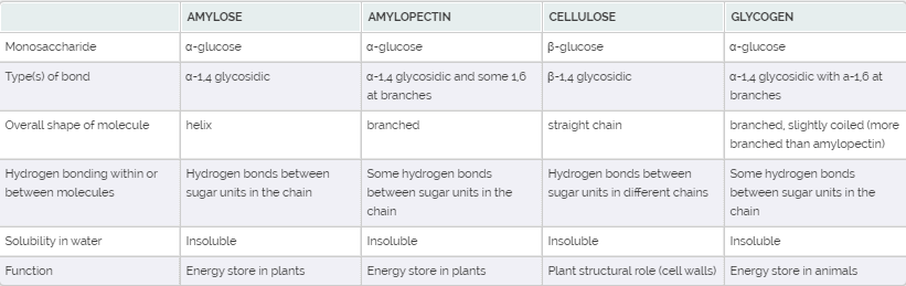 A Level Notes: Carbohydrates Summary Notes
