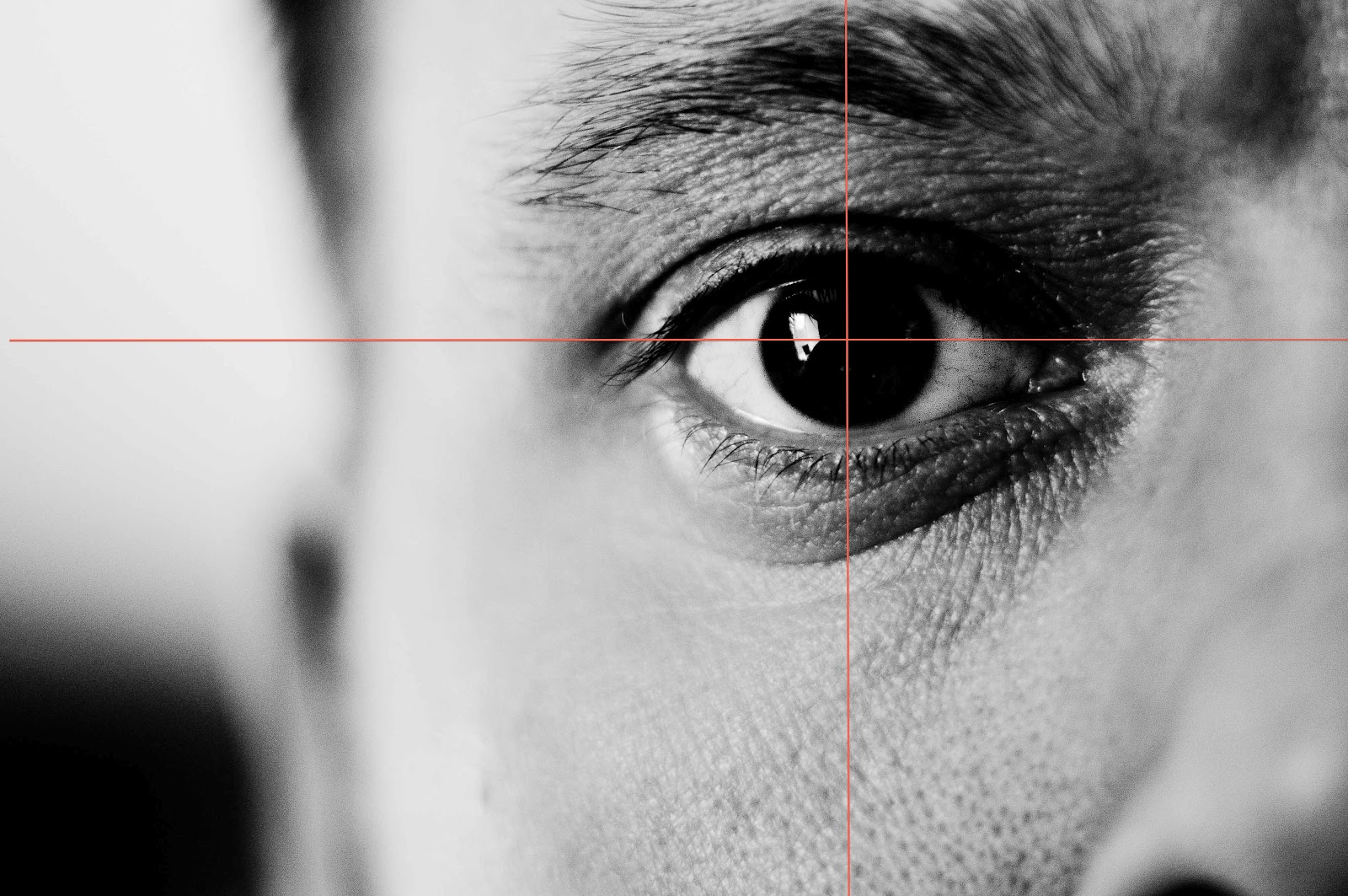 Richard Rowan Photography Exercise fifteen Positioning a point