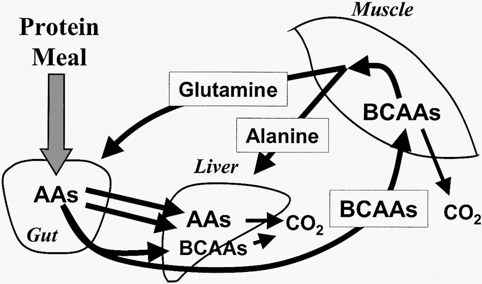 Fitness and Nutrition facts for a common man: Fitness and Nutrition ...