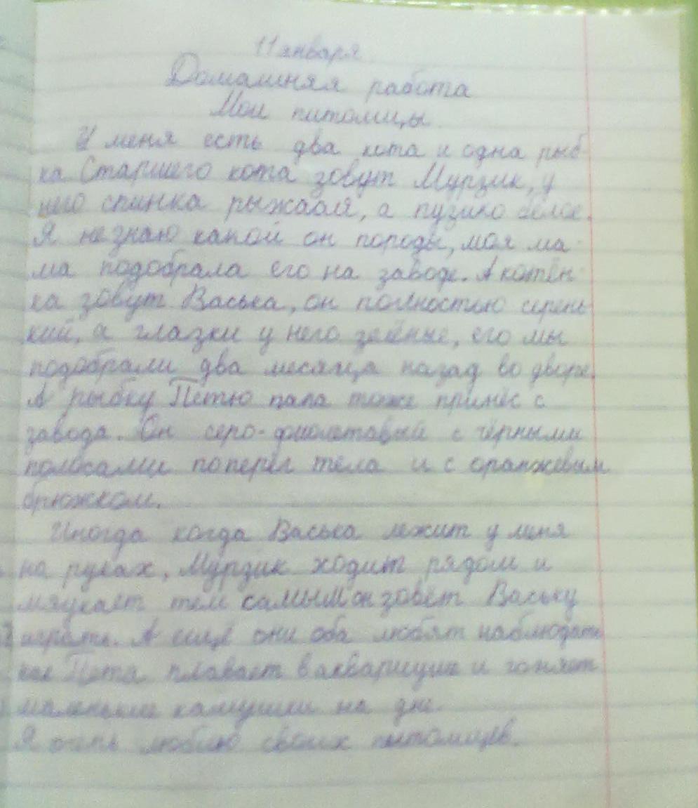 сочинение школьная библиотека