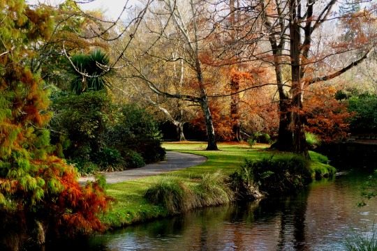 Christchurch Botanic Gardens