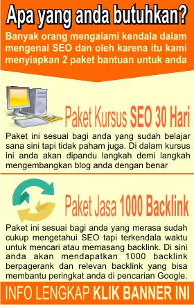 paket bantuan SEO murah